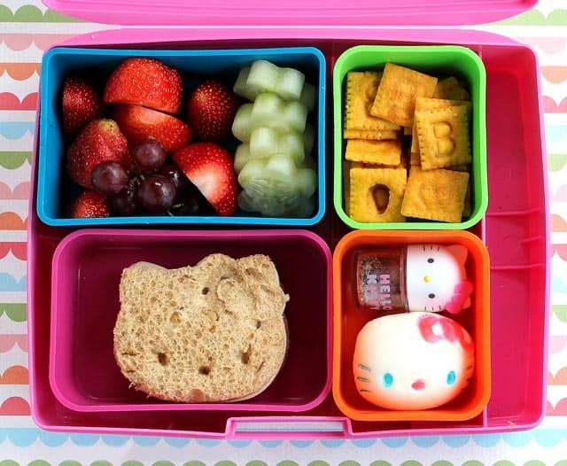 School Lunch Ideas: Healthy and Kid Friendly Lunch ideas for School