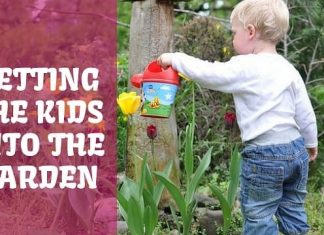 Kids into the Garden