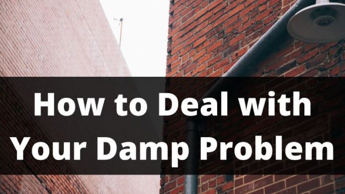 Damp Problem