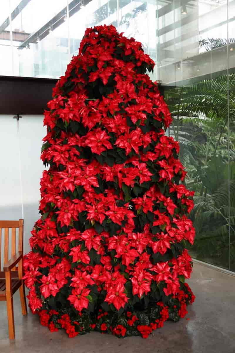 Red Light Flowers Decor Christmas Tree