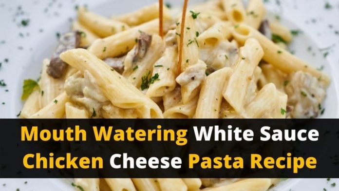 Mouth Watering White Sauce Chicken Cheese Pasta Recipe