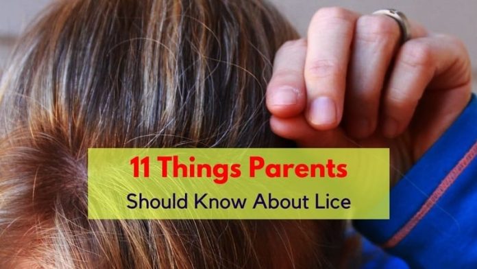 about lice