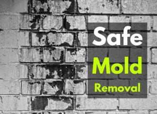 Safe mold removal