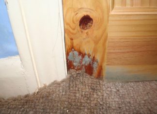 Fix Water Damage on Wood