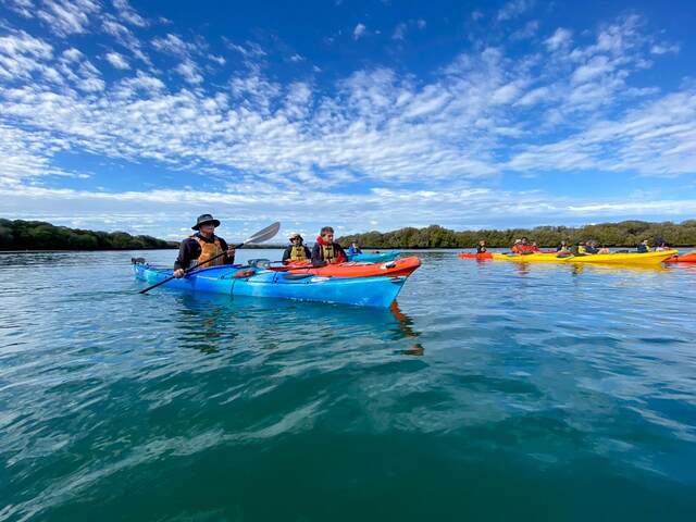 Take a Dolphin Cruise or Go Kayaking with kids - kayaking with dolphins