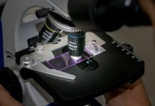 Guide to Prepare Microscope Slides in School Labs