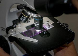 Guide to Prepare Microscope Slides in School Labs