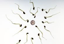 Infertility Issues