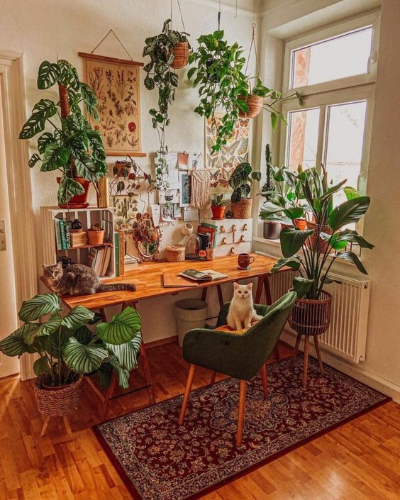 Boho Plant Room Ideas