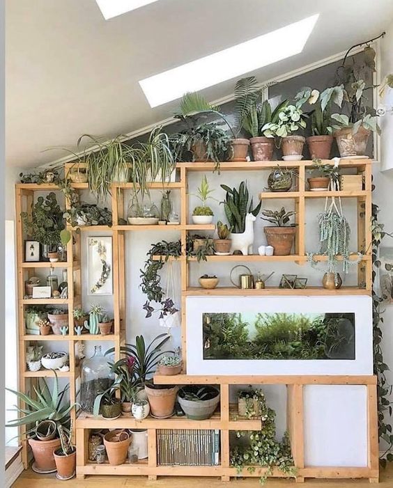 Plant wall ideas