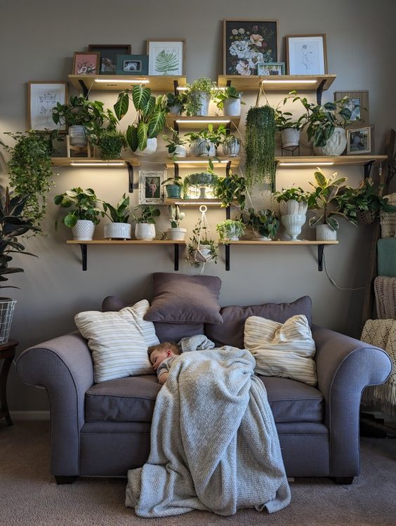 Simple indoor plant room ideas