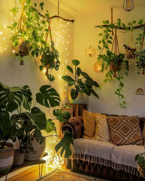 Stunning Indoor Plant Corner Ideas