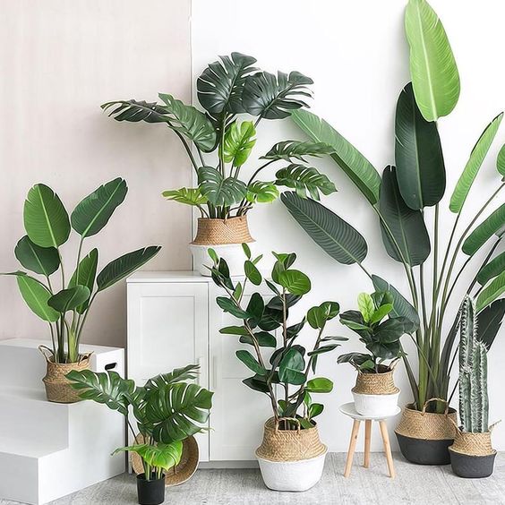 artificial plant for living room