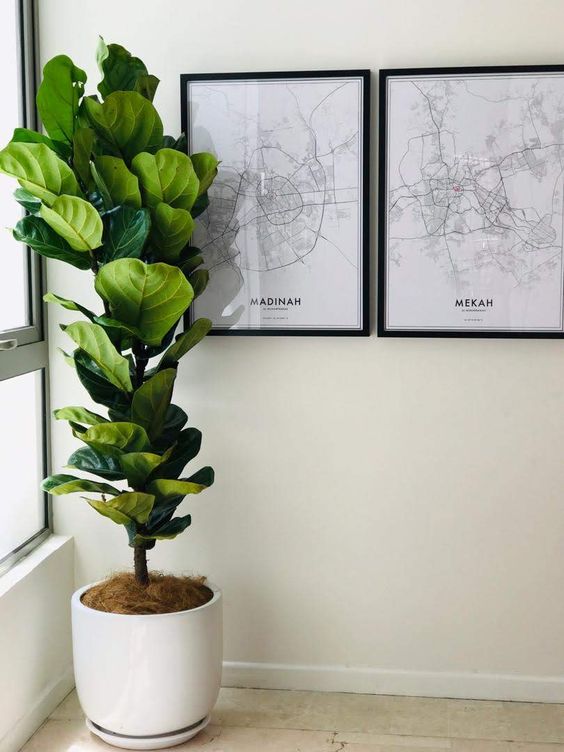 tall artificial plants for living room